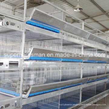 High Quality Automatic H Types Galvanized Steel Layer Poultry Cage